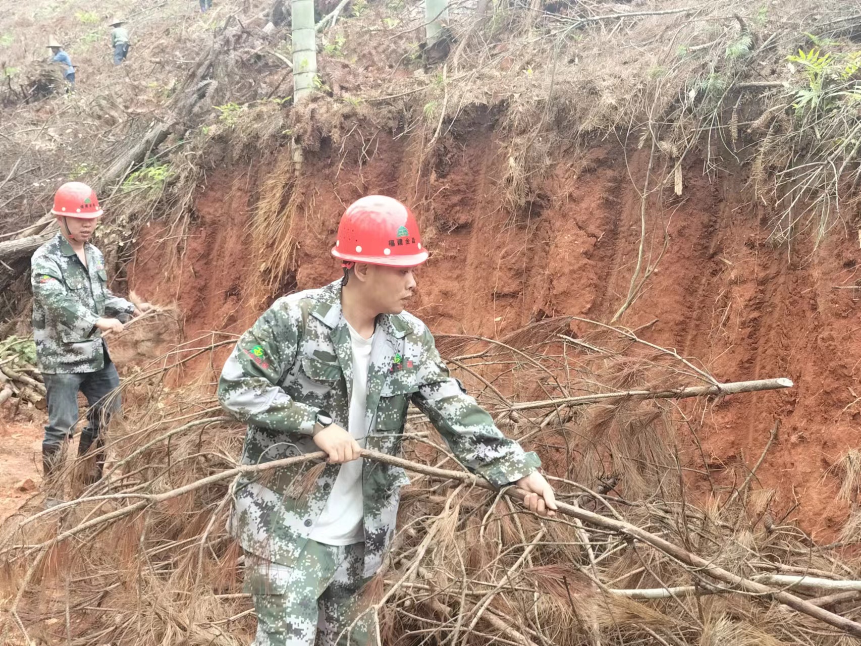  “百日鏖战” 齐心协力谱写产销新篇 ----福建k8凯发赢家一触即发,凯发国际天生赢家,凯发官网首页木材产销百日攻坚行动